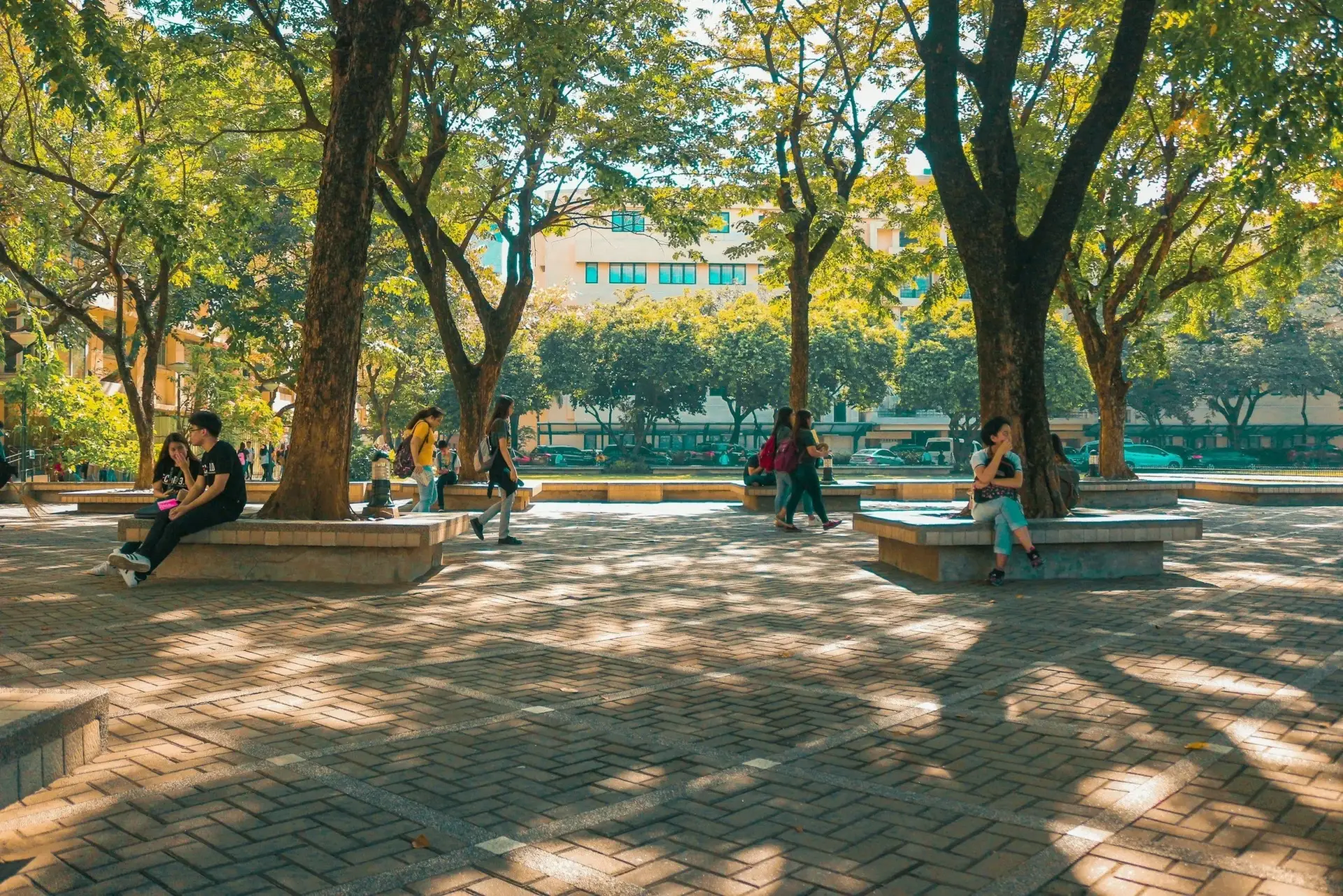 Students crossing a tree-lined campus plaza